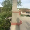2_org_zoom-2