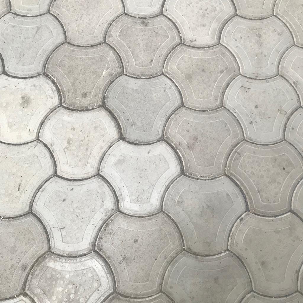 DENİZ ANASI 4,5 CM Bahçe karosu - Görsel 4
