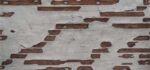 Ahşap Beton