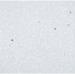 Terrazzo Platten Karo 01