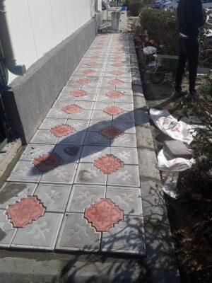 Orkide Yer Taşı