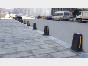 Prestij Sınır Elemanı