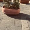 Quaraí Beton Saksı