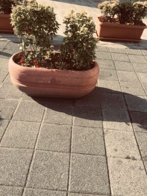 Quaraí Beton Saksı