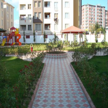 BÜYÜK ORKİDE 4,5 CM - Görsel 3