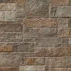 Stonewrap Sand Hill Touche Kültür Taşı Duvar Kaplaması Yumuşak kum renginde, doğal kum taşı dokulu Stonewrap Sand Hill Touche kültür taşı duvar kaplaması detayı.