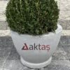 60x60x44 cm boyutlarında, üzerinde Aktaş logosu bulunan gri renkli beton yuvarlak saksı. İçinde yeşil top bitki. Dış mekan kullanımı için ideal.