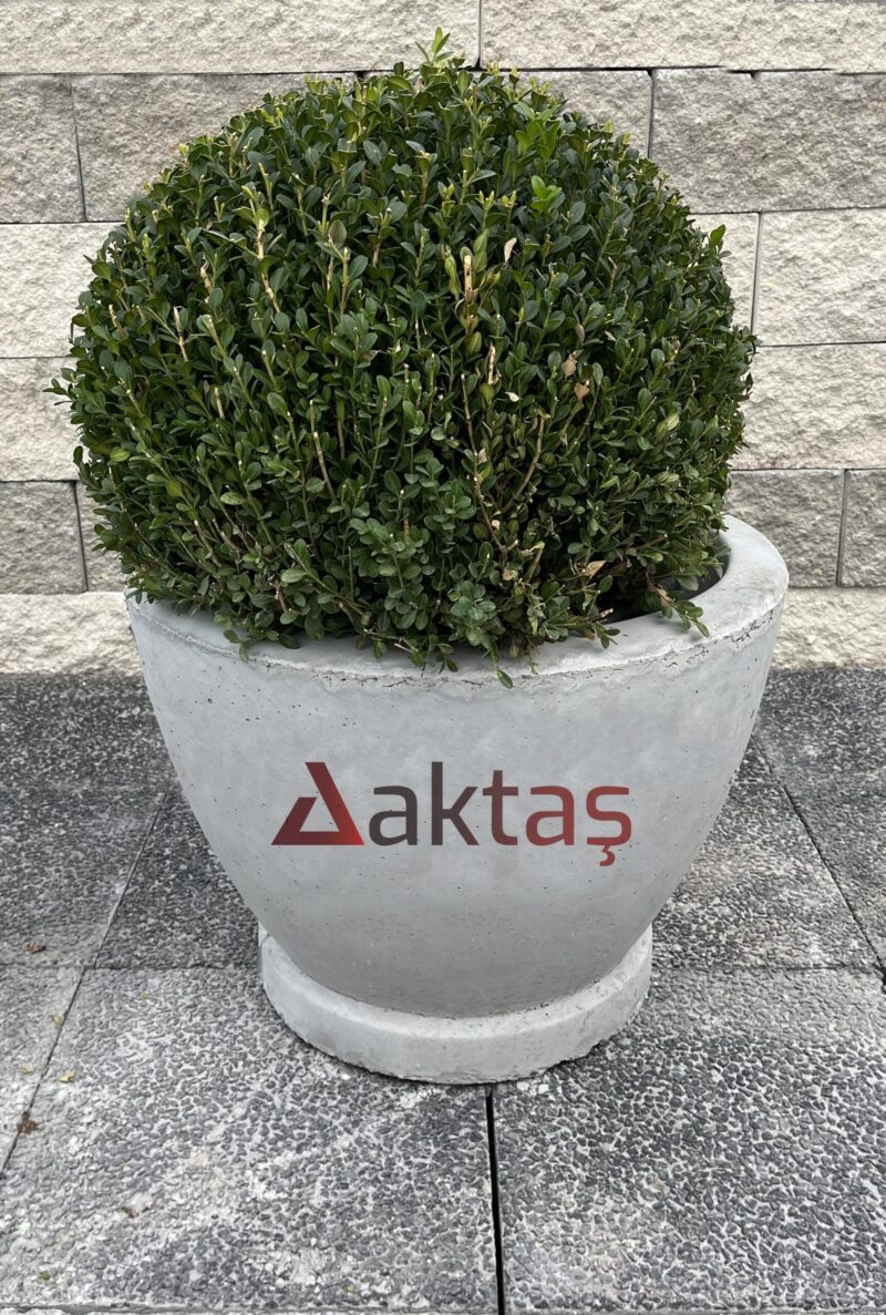 60x60x44 cm boyutlarında, üzerinde Aktaş logosu bulunan gri renkli beton yuvarlak saksı. İçinde yeşil top bitki. Dış mekan kullanımı için ideal.