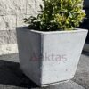 40x40x44 cm boyutlarında, doğal gri renkte mix beton kare saksı içinde yeşil ve sarı yapraklı bir bitki ile dış mekanda kullanılmış hali.