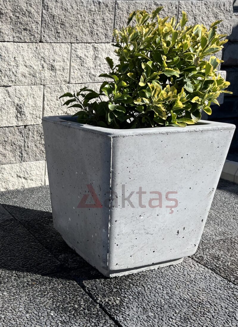 40x40x44 cm boyutlarında, doğal gri renkte mix beton kare saksı içinde yeşil ve sarı yapraklı bir bitki ile dış mekanda kullanılmış hali.