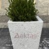 40x40x44 cm boyutlarında, beyaz dolomit taş dokulu kare beton saksı içinde yeşil bir bitki ile dış mekanda kullanılmış hali.