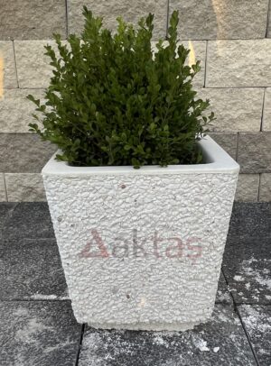 40x40x44 cm boyutlarında, beyaz dolomit taş dokulu kare beton saksı içinde yeşil bir bitki ile dış mekanda kullanılmış hali.