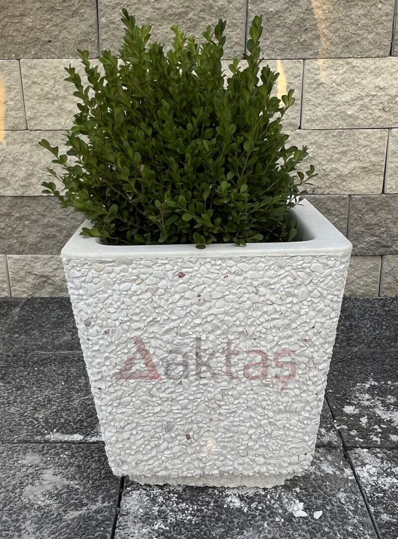 40x40x44 cm boyutlarında, beyaz dolomit taş dokulu kare beton saksı içinde yeşil bir bitki ile dış mekanda kullanılmış hali.