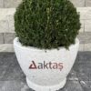 60x60x44 cm boyutlarında, üzerinde Aktaş logosu bulunan beyaz dolomit dokulu yuvarlak saksı. İçinde yeşil top bitki. Dış mekan kullanımına uygun.