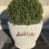 60x60x44 cm boyutlarında, üzerinde Aktaş logosu bulunan beyaz mozaik kaplı yuvarlak saksı. İçinde yeşil top bitki. Dış mekan kullanımına uygun.