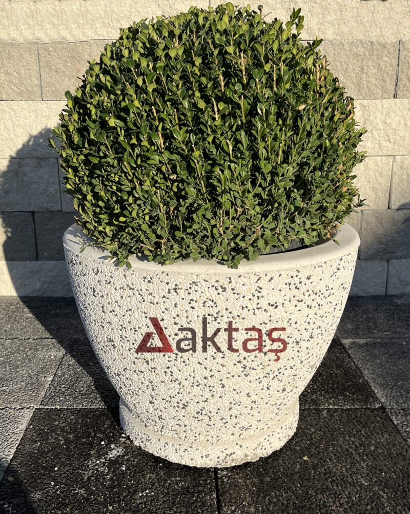 60x60x44 cm boyutlarında, üzerinde Aktaş logosu bulunan beyaz mozaik kaplı yuvarlak saksı. İçinde yeşil top bitki. Dış mekan kullanımına uygun.
