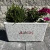 Beyaz-Mozaikli-Dikdörtgen-Saksı-80x40x44-cm-Aktaş 80x40x44 cm boyutlarında, beyaz mozaikli dikdörtgen beton saksı içinde yeşil bitkiler ve pembe çiçekler ile dış mekanda kullanılmış hali.