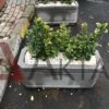 80x30x40 cm boyutlarında, üzerinde Aktaş logosu bulunan doğal gri renkte dikdörtgen beton saksı. İçinde kırmızı yapraklı bitkiler ve beyaz taşlar ile dış mekanda kullanılmış hali.