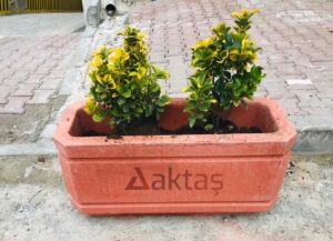 80x30x40 cm boyutlarında, üzerinde Aktaş logosu bulunan canlı kırmızı renkte dikdörtgen beton saksı. İçinde sarı-yeşil yapraklı bitkilerle dolu, dış mekanda (kaldırımda) kullanılmış hali.