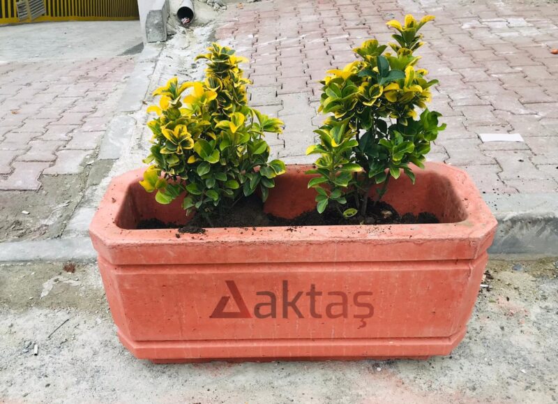 80x30x40 cm boyutlarında, üzerinde Aktaş logosu bulunan canlı kırmızı renkte dikdörtgen beton saksı. İçinde sarı-yeşil yapraklı bitkilerle dolu, dış mekanda (kaldırımda) kullanılmış hali.