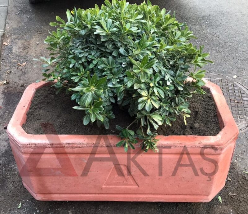 80x40x40 cm boyutlarında, üzerinde Aktaş logosu bulunan kırmızı renkte dikdörtgen beton saksı. İçinde yeşil yapraklı bir bitki ile dış mekanda kullanılmış hali.