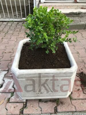 50x50x40 cm boyutlarında, üzerinde Aktaş logosu bulunan doğal gri renkte kare beton saksı. İçinde yeşil yapraklı bir bitki ile dış mekanda kullanılmış hali.