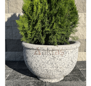 60x60x44 cm boyutlarında, üzerinde Aktaş logosu bulunan beyaz mozaik dokulu yuvarlak beton saksı. İçinde gür yeşil bir bitki ile dış mekanda kullanılmış hali.