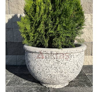 60x60x44 cm boyutlarında, üzerinde Aktaş logosu bulunan beyaz mozaik dokulu yuvarlak beton saksı. İçinde gür yeşil bir bitki ile dış mekanda kullanılmış hali.