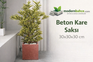 Beton Kare Saksı 30x30x30 cm – Minimal Dekoratif Beton Saksı