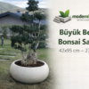 Büyük Beton Bonsai Saksısı 42x95 cm – Profesyonel Bonsai Saksısı