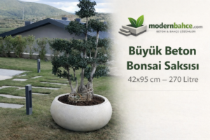 Büyük Beton Bonsai Saksısı 42x95 cm – Profesyonel Bonsai Saksısı